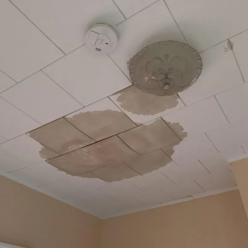Ceiling Water Damage Repair in Jellico, TN