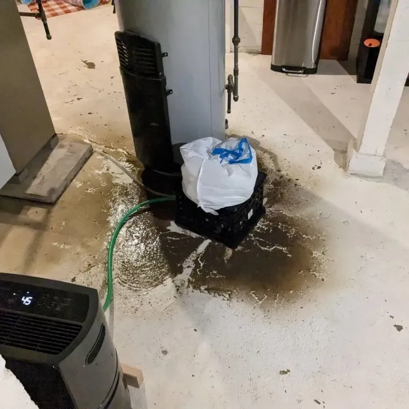 Sewage Backup Cleanup Service in Jellico, TN